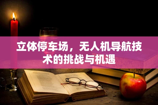 立体停车场，无人机导航技术的挑战与机遇