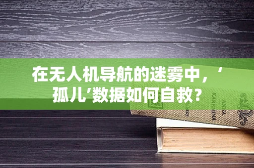 在无人机导航的迷雾中，‘孤儿’数据如何自救？