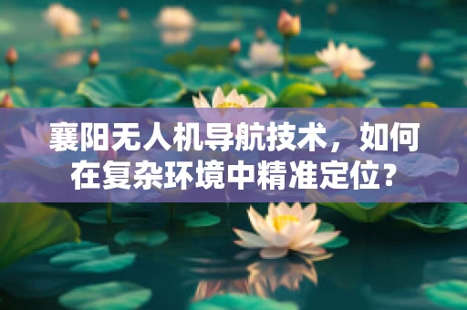 襄阳无人机导航技术，如何在复杂环境中精准定位？