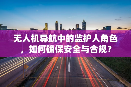 无人机导航中的监护人角色，如何确保安全与合规？