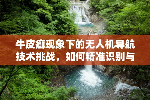 牛皮癣现象下的无人机导航技术挑战，如何精准识别与规避？