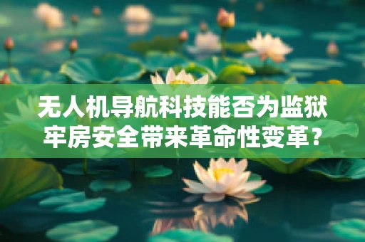 无人机导航科技能否为监狱牢房安全带来革命性变革？
