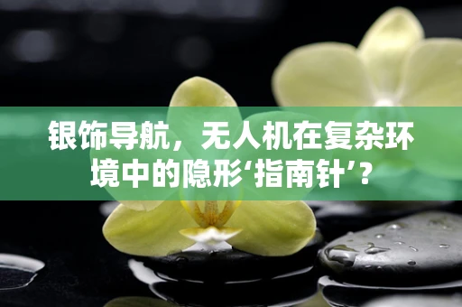 银饰导航，无人机在复杂环境中的隐形‘指南针’？