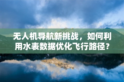 无人机导航新挑战，如何利用水表数据优化飞行路径？