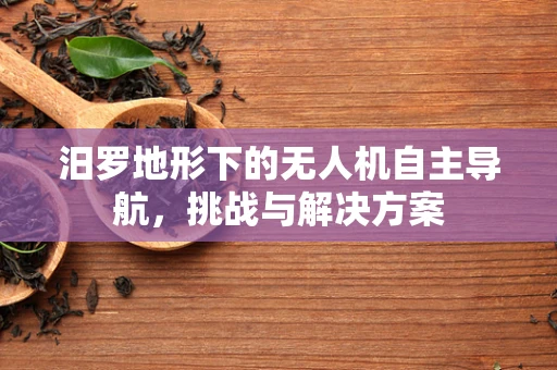 汨罗地形下的无人机自主导航，挑战与解决方案