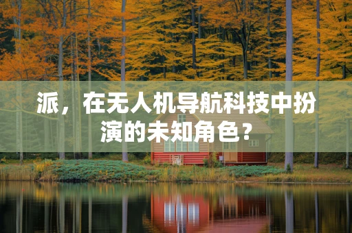 派，在无人机导航科技中扮演的未知角色？