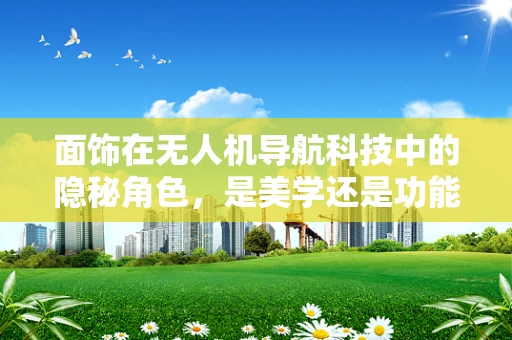 面饰在无人机导航科技中的隐秘角色，是美学还是功能性的必要之选？