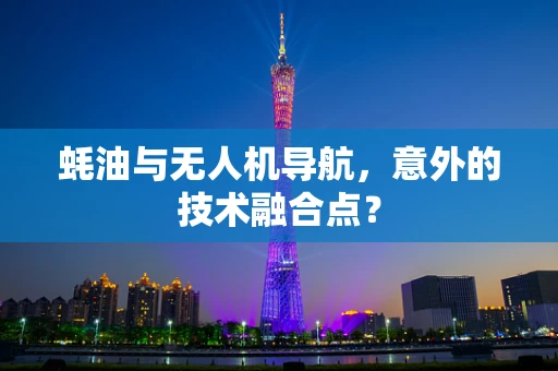蚝油与无人机导航，意外的技术融合点？