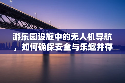 游乐园设施中的无人机导航，如何确保安全与乐趣并存？
