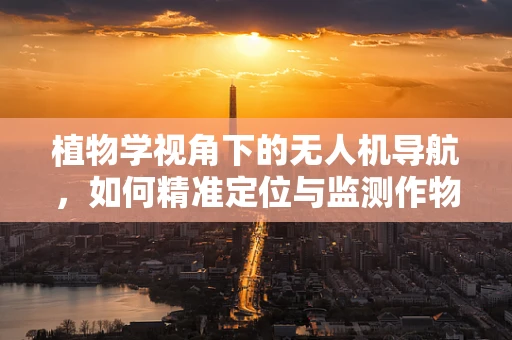 植物学视角下的无人机导航，如何精准定位与监测作物健康？
