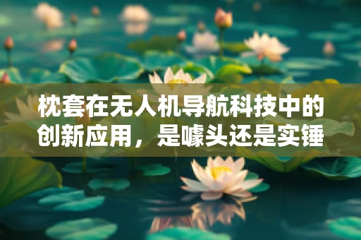 枕套在无人机导航科技中的创新应用，是噱头还是实锤？