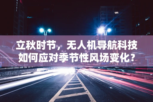 立秋时节，无人机导航科技如何应对季节性风场变化？