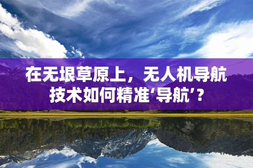 在无垠草原上，无人机导航技术如何精准‘导航’？