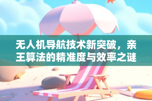 无人机导航技术新突破，亲王算法的精准度与效率之谜