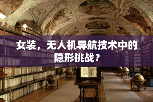女装，无人机导航技术中的隐形挑战？