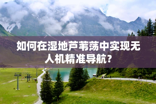 如何在湿地芦苇荡中实现无人机精准导航？