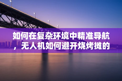 如何在复杂环境中精准导航，无人机如何避开烧烤摊的炭火？