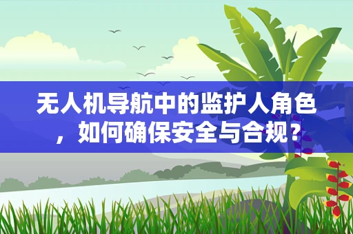 无人机导航中的监护人角色，如何确保安全与合规？