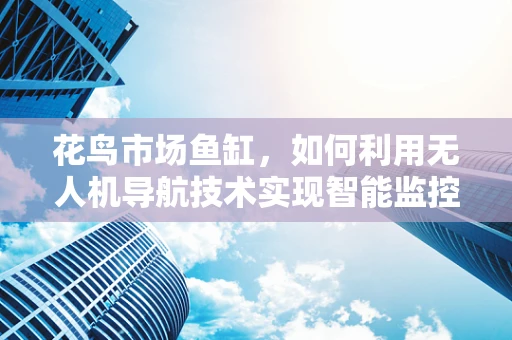 花鸟市场鱼缸，如何利用无人机导航技术实现智能监控？