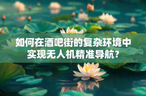如何在酒吧街的复杂环境中实现无人机精准导航？