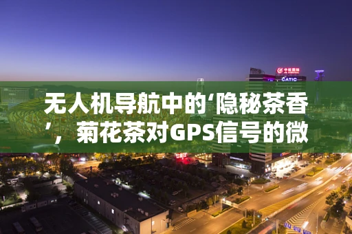 无人机导航中的‘隐秘茶香’，菊花茶对GPS信号的微妙影响