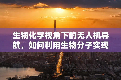 生物化学视角下的无人机导航，如何利用生物分子实现更智能的飞行？