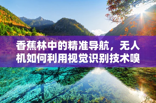 香蕉林中的精准导航，无人机如何利用视觉识别技术嗅出果实的香甜？