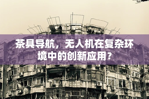 茶具导航，无人机在复杂环境中的创新应用？