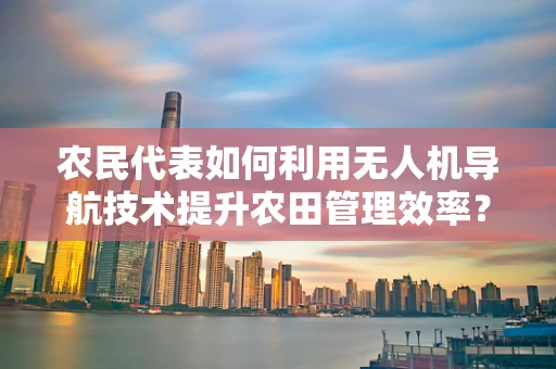 农民代表如何利用无人机导航技术提升农田管理效率？
