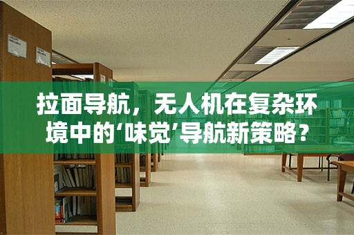 拉面导航，无人机在复杂环境中的‘味觉’导航新策略？
