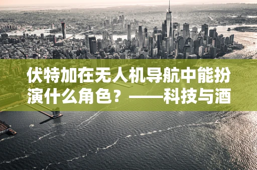 伏特加在无人机导航中能扮演什么角色？——科技与酒精的意外邂逅？