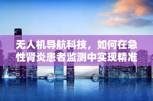 无人机导航科技，如何在急性肾炎患者监测中实现精准定位？
