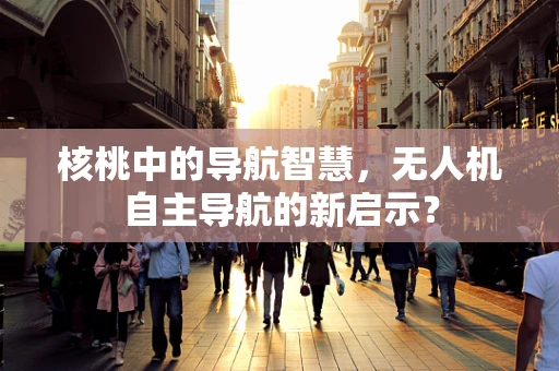 核桃中的导航智慧，无人机自主导航的新启示？