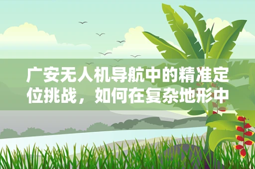 广安无人机导航中的精准定位挑战，如何在复杂地形中实现高效导航？