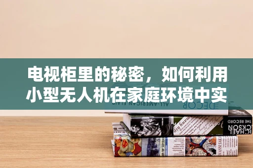 电视柜里的秘密，如何利用小型无人机在家庭环境中实现精准导航？
