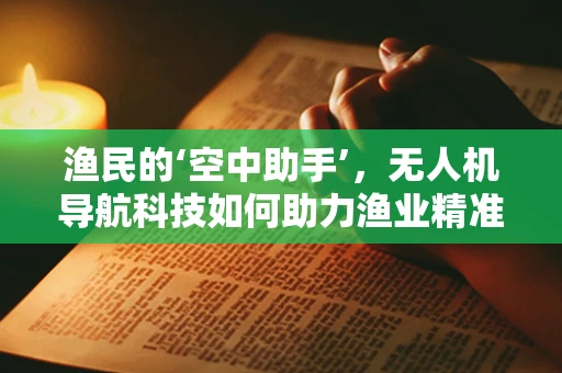 渔民的‘空中助手’，无人机导航科技如何助力渔业精准作业？