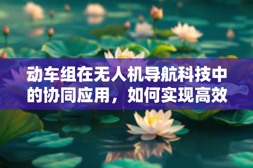 动车组在无人机导航科技中的协同应用，如何实现高效协同与精准定位？