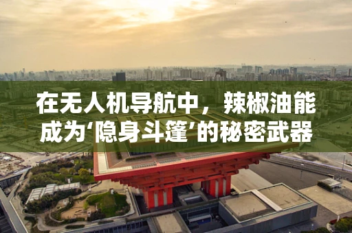 在无人机导航中，辣椒油能成为‘隐身斗篷’的秘密武器吗？