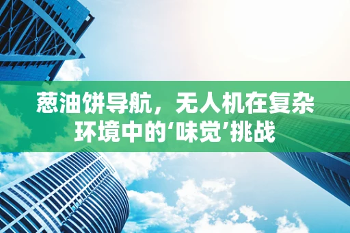 葱油饼导航，无人机在复杂环境中的‘味觉’挑战