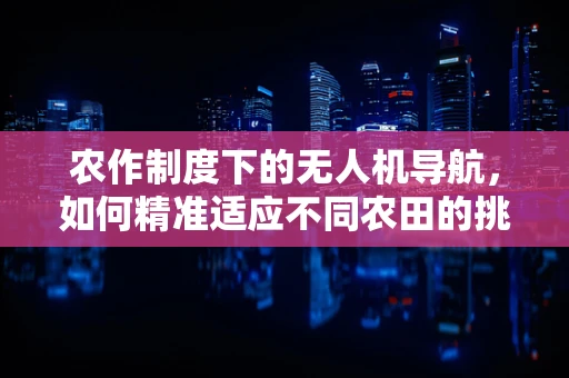 农作制度下的无人机导航，如何精准适应不同农田的挑战？