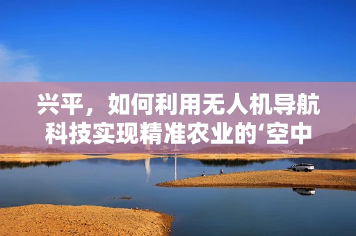 兴平，如何利用无人机导航科技实现精准农业的‘空中革命’？