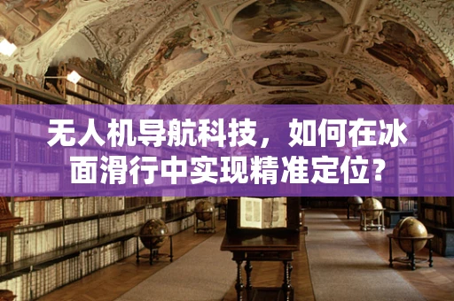 无人机导航科技，如何在冰面滑行中实现精准定位？