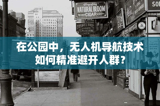 在公园中，无人机导航技术如何精准避开人群？