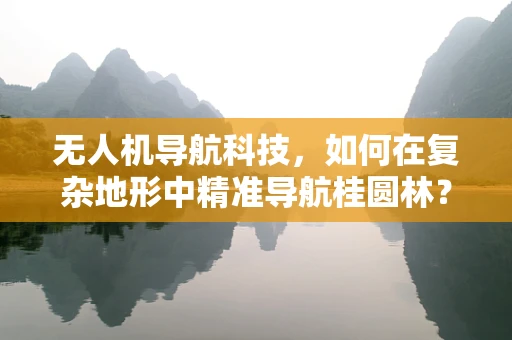 无人机导航科技，如何在复杂地形中精准导航桂圆林？