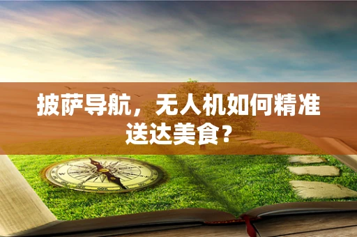 披萨导航，无人机如何精准送达美食？