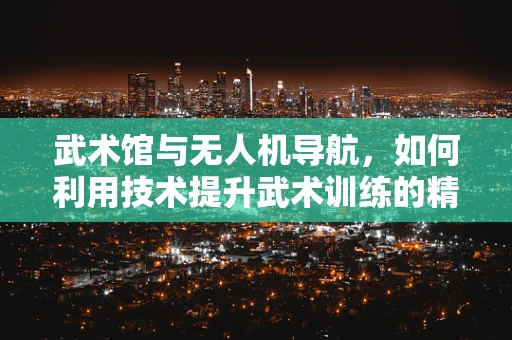 武术馆与无人机导航，如何利用技术提升武术训练的精准与效率？
