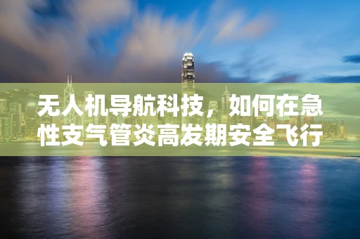无人机导航科技，如何在急性支气管炎高发期安全飞行？