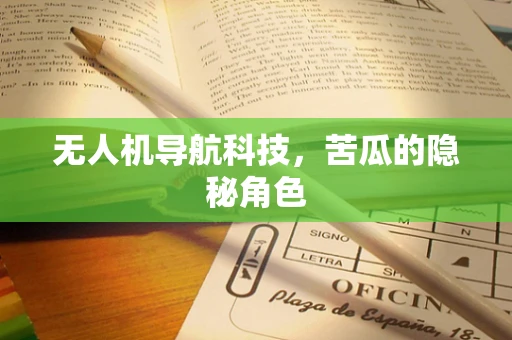 无人机导航科技，苦瓜的隐秘角色