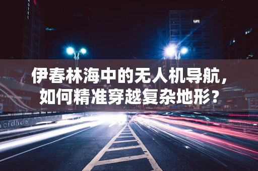 伊春林海中的无人机导航，如何精准穿越复杂地形？