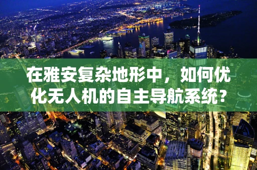 在雅安复杂地形中，如何优化无人机的自主导航系统？
